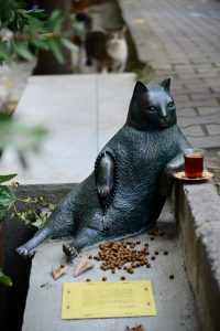 kadikoy-cat-tombili-statue02